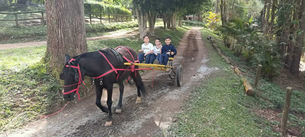 Bicho Mania 2022